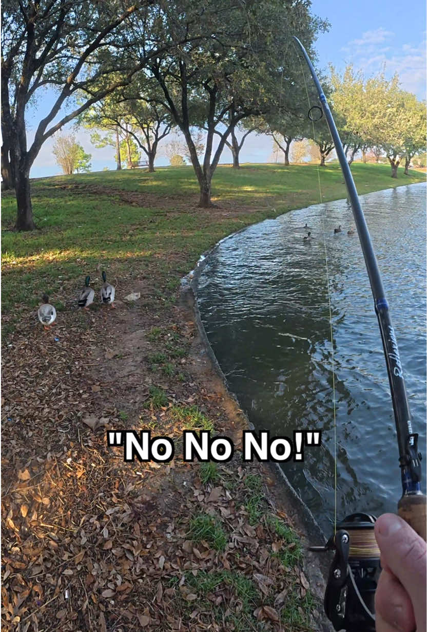 Old LADY Gets MAD At Me For FISHING 🎣 #fishing #fisherman #bassfishing #fish #carpfishing #bigfish #howto #texas #angler 