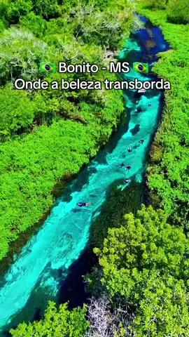 Bonito é uma cidade e centro de ecoturismo no estado brasileiro de Mato Grosso do Sul. A área circundante é conhecida pelos rios de água translúcida, como o Rio da Prata, um destino de snorkeling repleto de peixes. O Abismo Anhumas é uma enorme caverna coberta de estalactites que permite a prática de rapel e de mergulho num lago subterrâneo. Bandos de araras criam ninhos no profundo Buraco das Araras, de cor ocre. #bonito #pantanal #matogrossodosul #amazonia #natureza #brasil #brasil🇧🇷  #fyp #viralvideos 