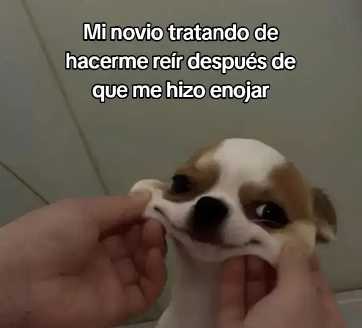 @Neverita🫶🏼 #fpy #Brandon #novio #contenido #viralvideos #paratiiiiiiiiiiiiiiiiiiiiiiiiiiiiiii 