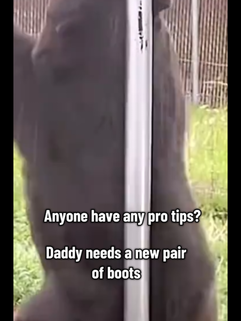 When you see us practicing just give us tips, not judgement #SmokeyBear #smokeythebear #OnlyParks #nationalpark #savetheparks @Johnathon Caine @Heather Savagemomlife  @Ashley  @Nationalparkdefender  @Cabrillo National Monument NPS  @Point Pelee National Park  @CT National Parks  @Yellowstone National Park  @only.parks  @Denali  @Redwoods National Park  @The Sierra Nevada Mountains 