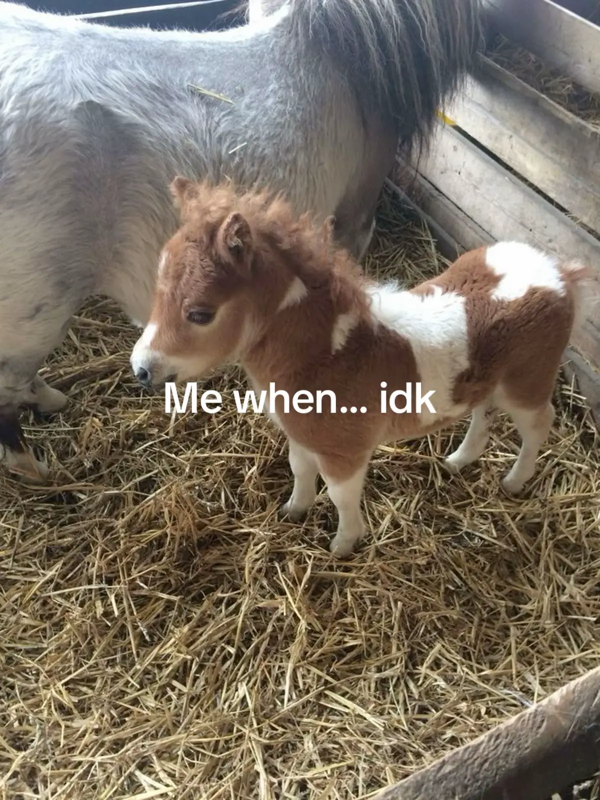 So basically yeah