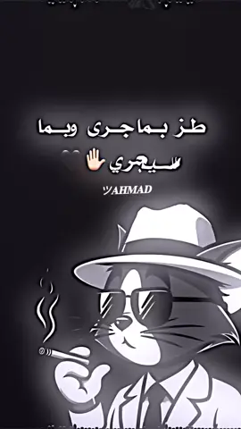 طز بما جرى وبما سيجري🖤#تصميم_فيديوهات🎶🎤🎬 #شعب_الصيني_ماله_حل😂😂 #كاب_كات #ترند #قانون_العقوبات -العقوبات