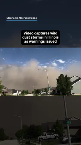 Wild video captured a giant 