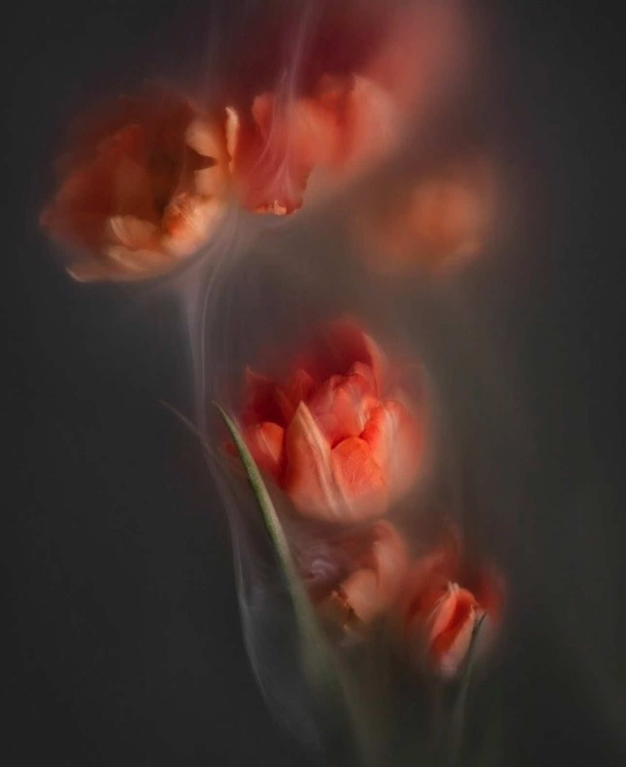 after spring #flowers #flower #animuspax #cute #positive #beauty #planets #dreamcore #corecore #liminalspaces #nature #liminal #viral #liminalspace #vibe #backrooms #nostalgia #comfort #windows #toryou #circles #edit #teamwork #radiohead #landscape #windows #blackcircle #space #star #postphotography #hopecore #aesthetic #foryou #tumblr #collage #dreamcore #weirdcore #forest #water #Summer #abstract #ethereal #sun #nostalgia #hands #photography #digitalcam #film #butterfly #stars #sparkle #foryourpage #ocean #seagull #art #photography #artbook #contemporaryart #forest #collage #videoart #melancholy #fypシ #fyp 