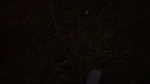 #nature