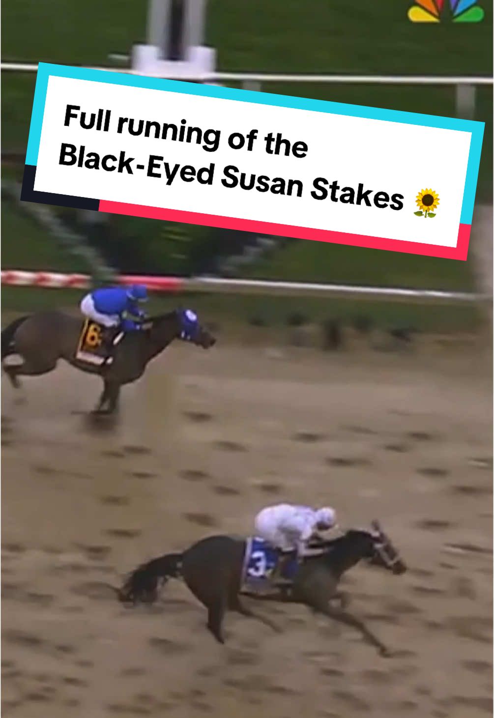 Margie's Intention (5/2) closes strong in the final furlong to earn victory in the Black-Eyed Susan Stakes! 🌻 #horses #preakness #race 