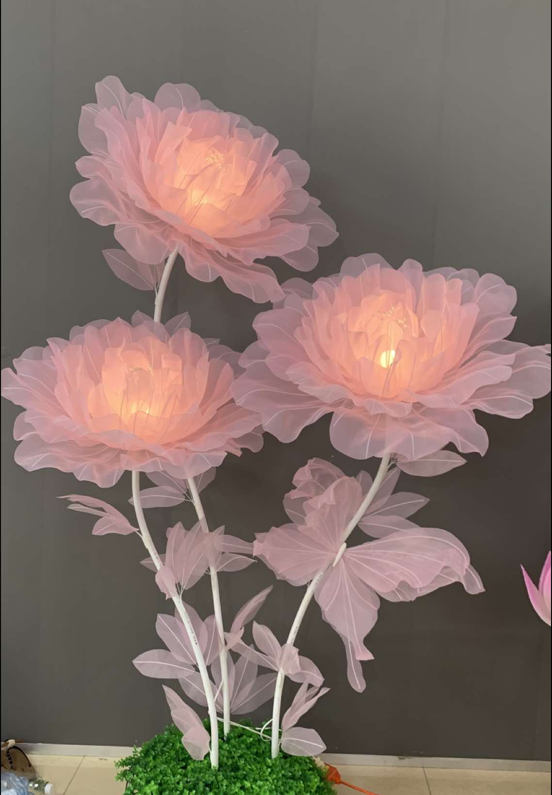 Màu hồng gì đây shop...., Dạ Hồng Phấn nha quý zị😍#xuhuong #thinhhanh #trending #viral #hoakhonglo #hoalua #hoaluacaocap #decor #hoa #flowers #trangtrisukien #trangtritieccuoi #hoaluaaukhoan #nghethuat #cachlamhoa #trangtrinhacua #giaitri 