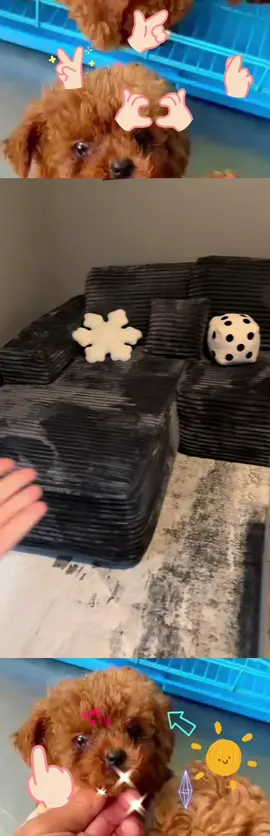 It could be a throw pillow for dice#Throw pillow#dice #dicepillow #RoomTour #coolroom