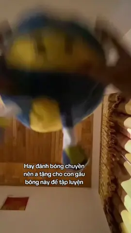 Nằm ở nhà cũng chơi được 