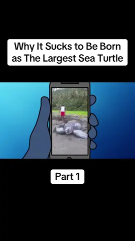 Why It Sucks to Be Born as The Largest Sea Turtle | Part 1  #seaturtle 