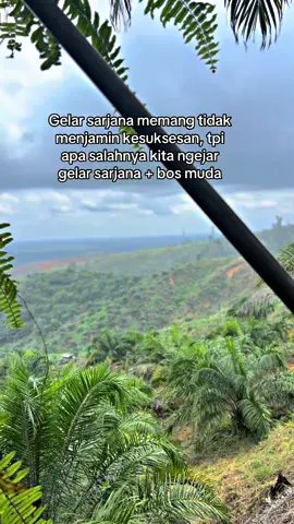 📸#petanisawit🌴 #bossmuda #sawitontiktok #sawitsumatra #fyp #petaniindonesia🇮🇩🇮🇩🇮🇩🌿🌿 #kulisawitindonesia #fyppppppppppppppppppppppp 