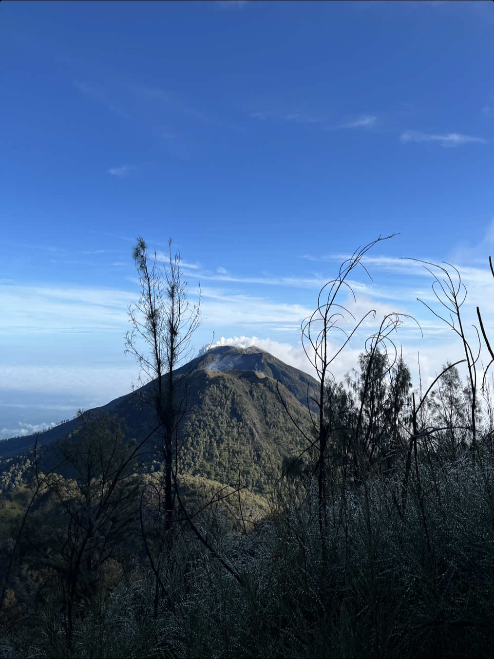 3 Gunung Jawa Timur dengan trek ter best yang harus di coba🔥 #arjuno3339mdpl #argopuro3088mdpl #raung3344mdpl 