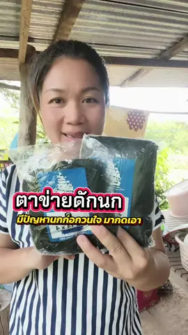 #ตาข่ายดักนก #อวนดักนก #ดางเรดาร์ดักนก #การดักนก #ธิชาแม่ค้าตัวกลม @ธิชาแม่ค้าตัวกลม🌻 @ธิชาแม่ค้าตัวกลม🌻 @ธิชาแม่ค้าตัวกลม🌻 