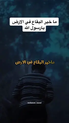 #مقتطفات#الشيخ_كشك_رحمه_الله