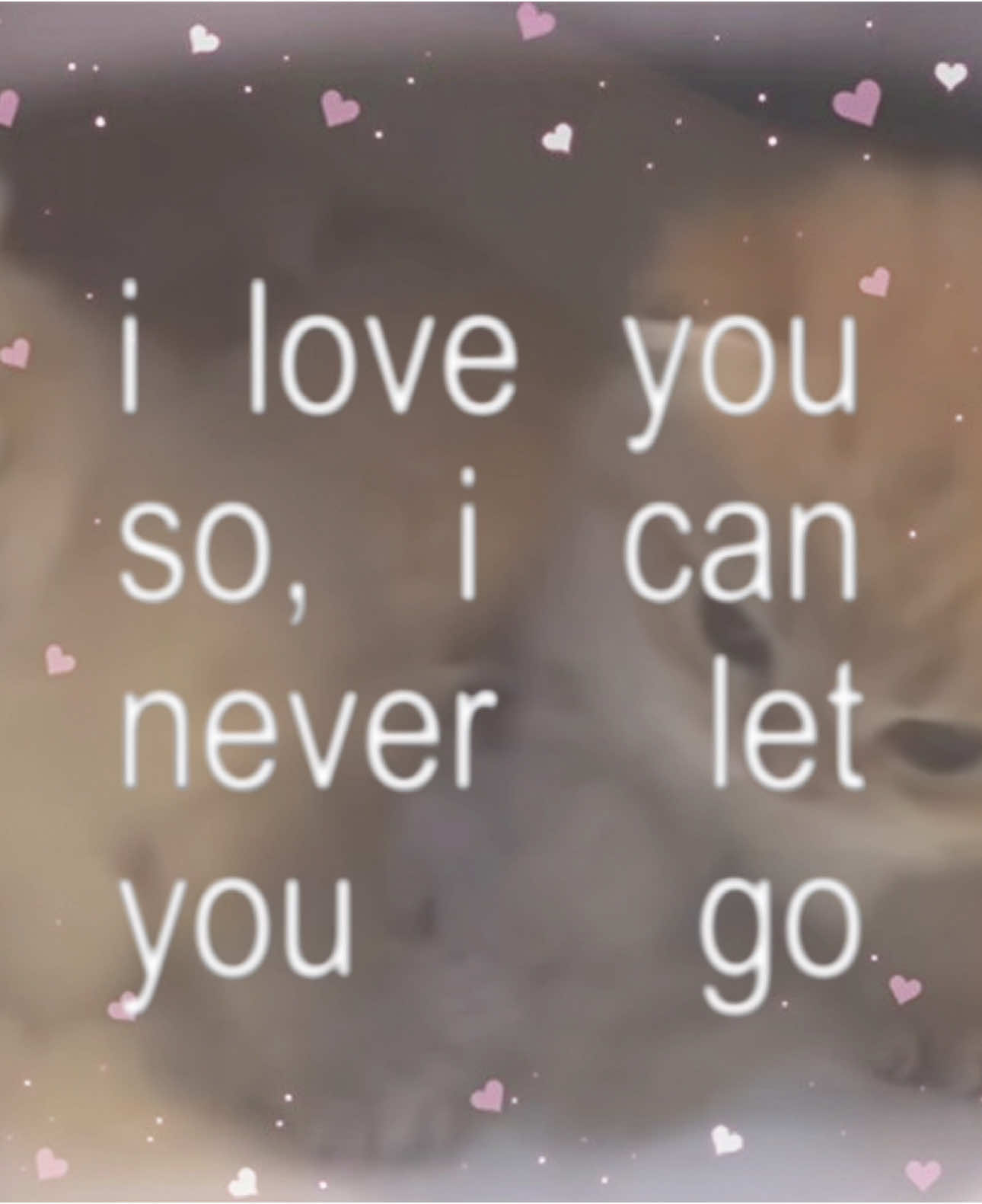 i love you so ! #iloveyouso #iloveyousoicanneverletyougo #schnuffelbunny #cute #kittens #kitty #kitties #bratlyrics #lyrics #lyricsforyou #kawaii #cutsie #meow #fyp #fypage #foryou 