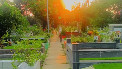 বনানী কবরস্থান ‌।🥺 repost request ❤️‍🩹  #unfrezzmyaccount #village #fyp #vairal #team_of_fx #videography #trending #sinematik #edit #foryoupage #foyou #natural #sun #sky@TikTok Bangladesh @TikTok 