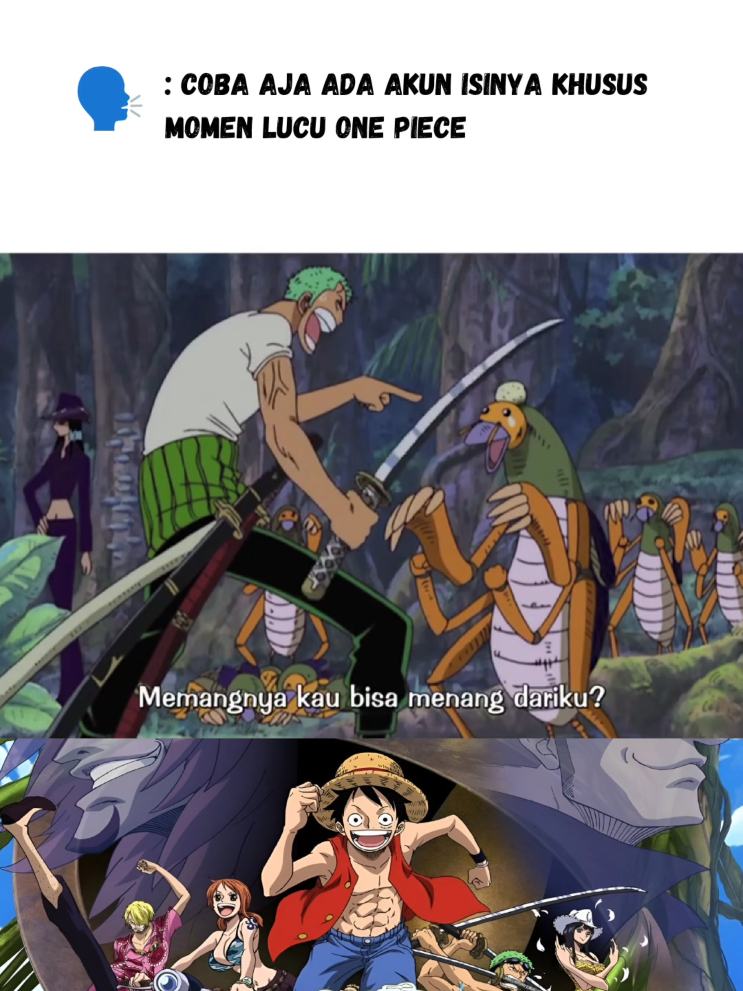 Zoro dah kesal sendiri... #onepiece #onepiecelucu #onepiecengakak #onepiecetiktok #anime