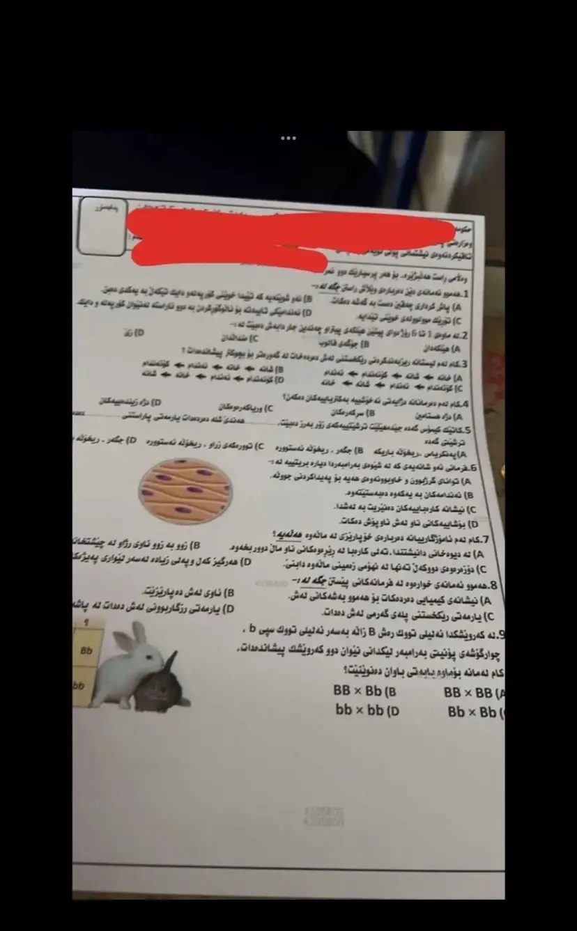 کوا وەزارەتی پەروەردە😂