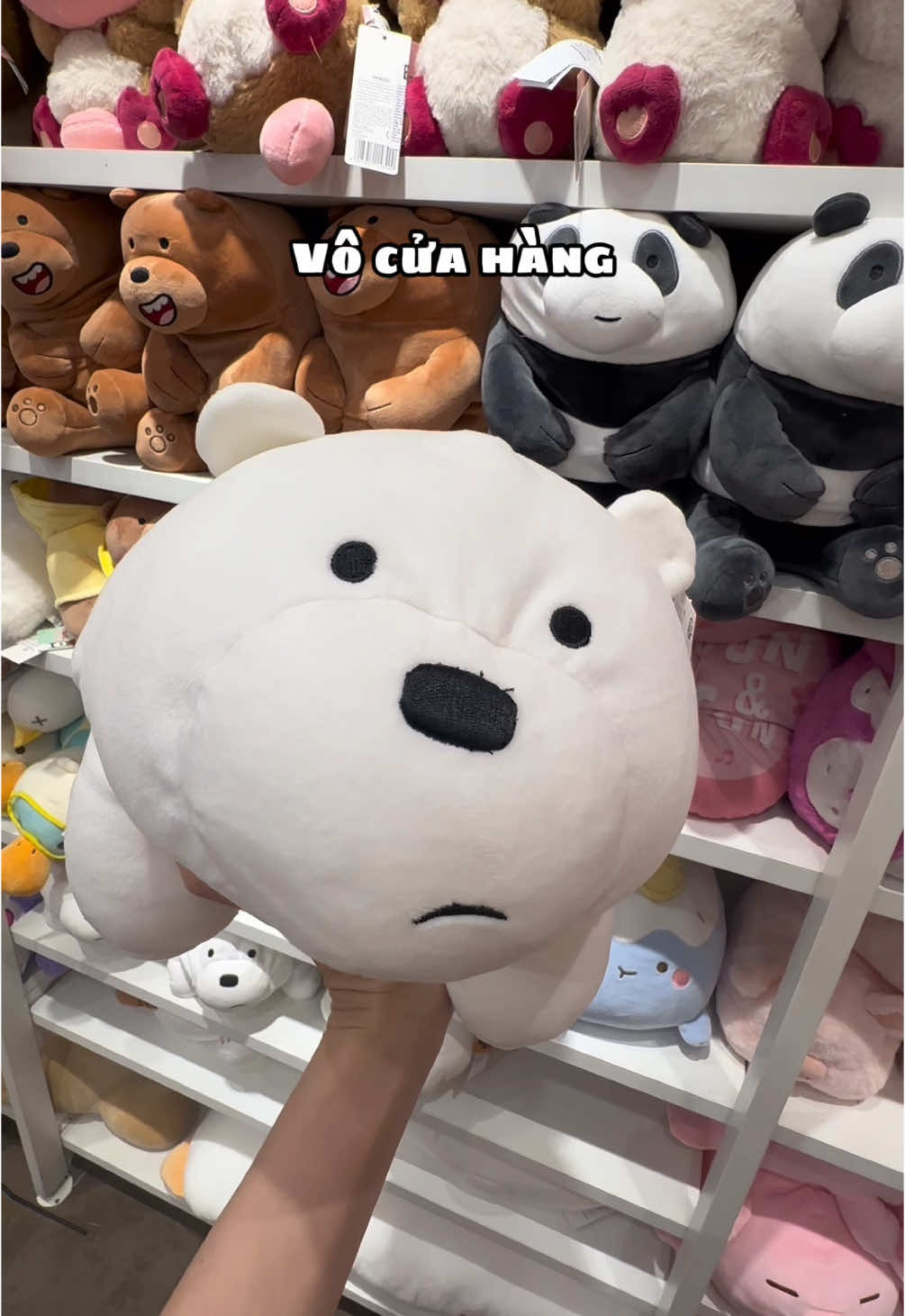Chúng tôi đơn giản chỉ là gấu 🧸 #gaubong #gaubongquatang #gaubongcaocap #gaubongdethuong #gaubongonline #gaubongwebarebears #tiktokshop #fyp #nhintuine 