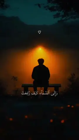 #القارئ_احمد_عبدالله_شعبان #CapCut #القران #اللهم_صلي_على_نبينا_محمد #pyfツ #القران_الكريم_راحه_نفسية😍🕋 #اكسبلور 