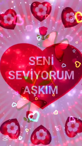 🌹❤🌹