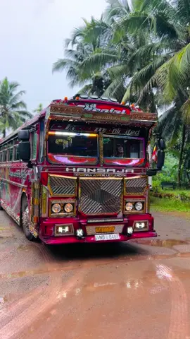 කටු කාලා හදපු ඒවා 🥵❤️