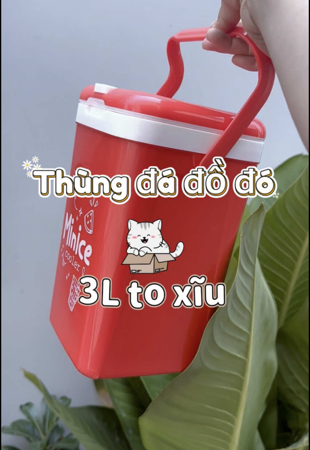 Đựng đá viên to tẹt ga #xuhuong #nhacuadoisong #thungdamini 