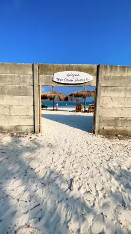 📍Tanjung Aan Beach, Kuta Lombok Salah satu pantai yang paling Aku recommended banget Kalau kalian lagi mengunjungi kuta, Lombok  One of the most beautiful beaches in Lombok, look how blue and clear the water and also beautiful white sand along the beach 🐚🌺🏖️🏝️ #foryou #foryoupageofficiall #foryoupage #fyp #fyppppppppppppppppppppppp #fypシ゚ #travel #explorelombok #indonesia #lombok #traveling #lomboktiktok #exploreindonesia #tanjungaan #kutalombok #mandalika #paradise 