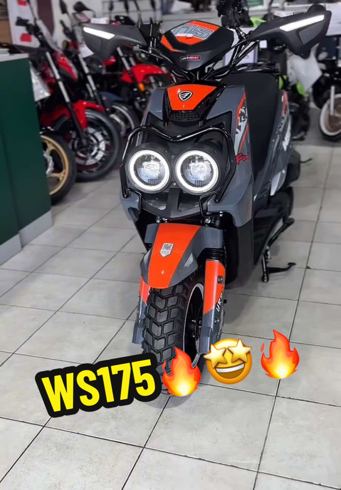 Ven y conoce nuestra nueva WS175🤩🔥🔥🔥 #ws150sport❤️🔥 #ws150sport #ws175sport #toluca #tolucalabella #tolucafc👹❤️ #italika #fyp #motorcycle #italikaoficial 