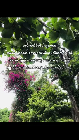 တချို့အရာတွေသိတက်ခဲ့ပါတယ်🥺#fylpシ #foryou #flpပေါ်ရောက်စမ်း #pppppppppppppppp 