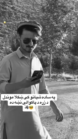 #foryoupage #fyp #tiktokviral #tiktok #trendin @𓆩کمالٓ𓆪 @Shinwary @gilamanwazir11 