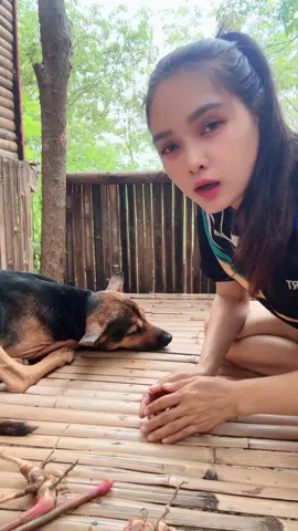 กราบผู้มีพระคุณ