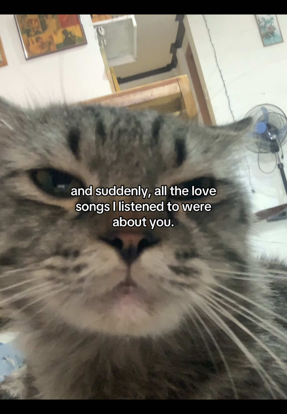 Grumpy cat😾#fyp #viral #relatable #livephoto #crush #him 