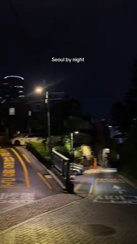 Seoul 🥀 #fyp #grow #tiktok #seoullife 