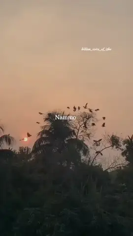orey oru aasathaan yenaku....🥀😕☹️