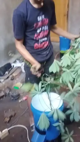 mesin cacah blender Chopper pakan ternak #chopper #mesincacah #pakanternak #mesinblender 