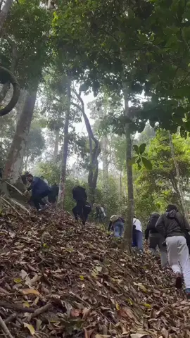 东南亚小路接货