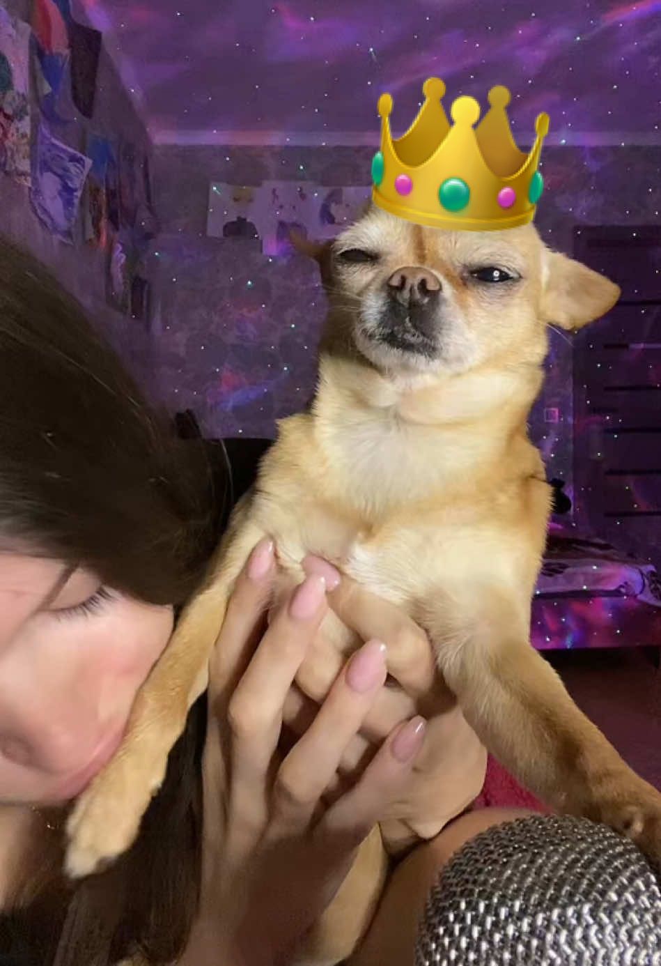 Replying to @ejesemar71 #asmr #dog #dogasmr #queens #boss #ftypシ 