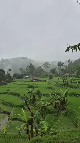 mana janji Eneng NU baheula😥😥 #lagusunda  #pedesaan 