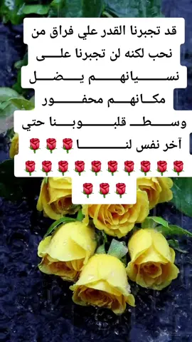 #🌹🌹🌹 ذكريات لا تنســــــــــى #🌹🌹🌹🇸🇩🥀🇸🇩🥀🇸🇩🥀🇸🇩🥀🇸🇩🥀🇸🇩🥀#