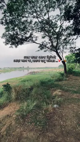 মস্তিষ্ক থেকে মুছে ফেলতে পারলে সব কিছু সম্ভব ❤️‍🩹🍂#fyp #viral___video #jubayer_bhuyan831 #unfrezzmyaccount #bdofficialtiktok 