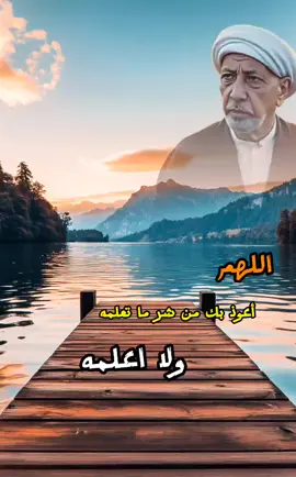 #اللهم_اعوذ_بك_من_غلبت_الدين_وقهر_الرجال #دعاء #الشيخ_احمدالوائلي_دررالكلام 