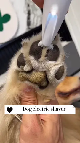 #pets #cat #dog #trimmer #pettrimmer #cleaning #clean #petcare 