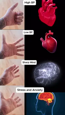 Heal your body now. 4 mudras for 4 problems. #followomvision #omvision #anxiety #mudra #brain #mudras #yoga #viralvideo 