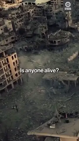 Can anyone hear us?