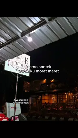 #ternosontek 