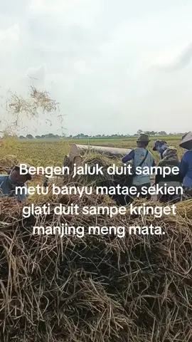🥲#tarling_indramayu_cirebon 