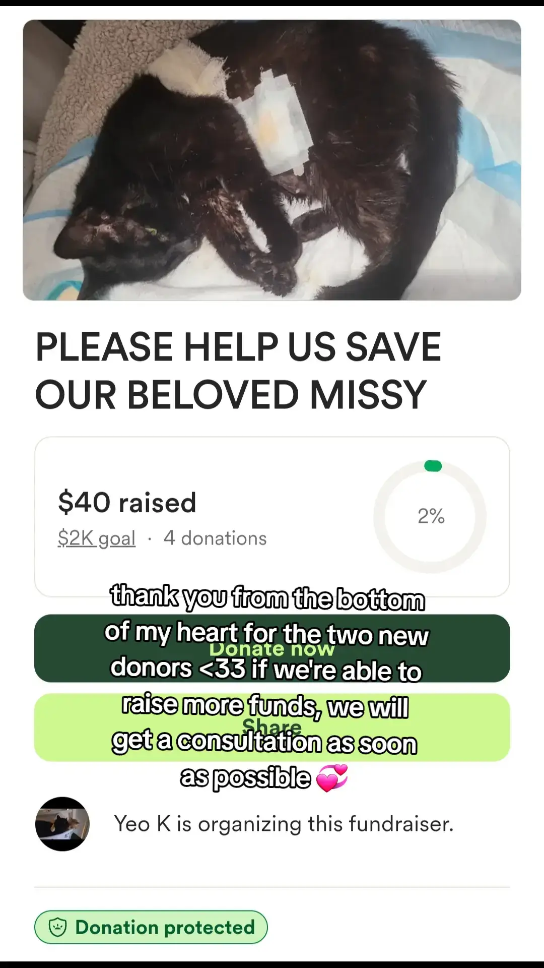 we're under a quarter away from being able to afford a consultation with a vet, thank you so much for the ongoing support, much love to you all and there will be many more updates to come <33  #cat 