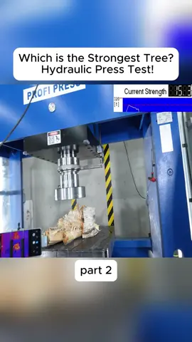 #viralcontent #hydraulicpress #satisfying #oddlysatisfying #asmrcrush 