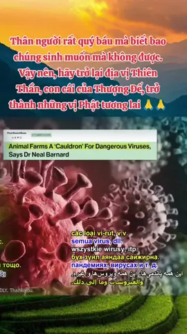 Thanh Hải vô thượng sư khai thị #thanhhaivothuongsu #giacngo #giaithoat #xuhuong #anchay #songxanh #cuudiacau #viral .
